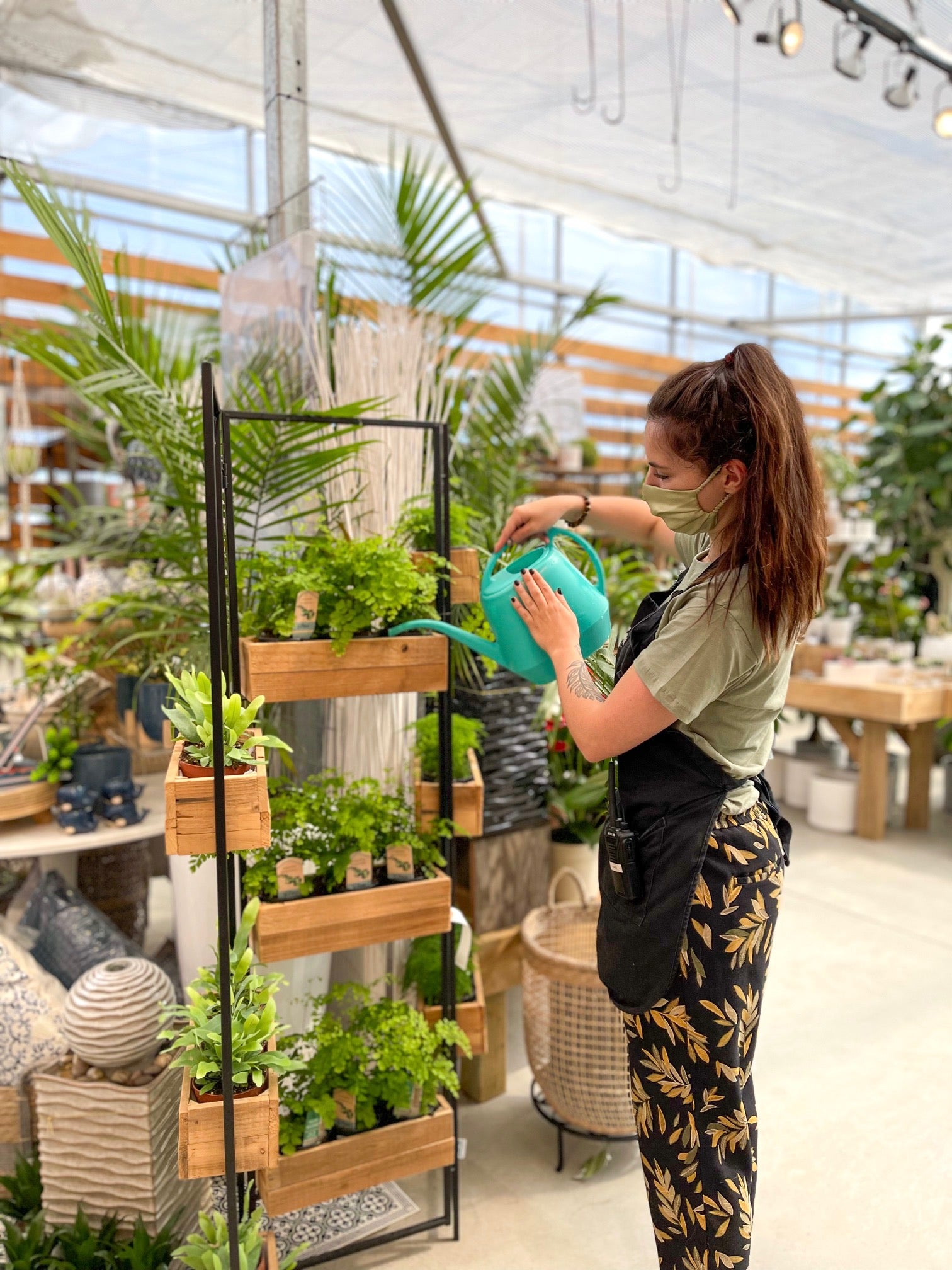 palmendünger für olivenbaum ProviPlant Oliven-Dünger: Für Olivenbäume im Innen- und Außenbereich