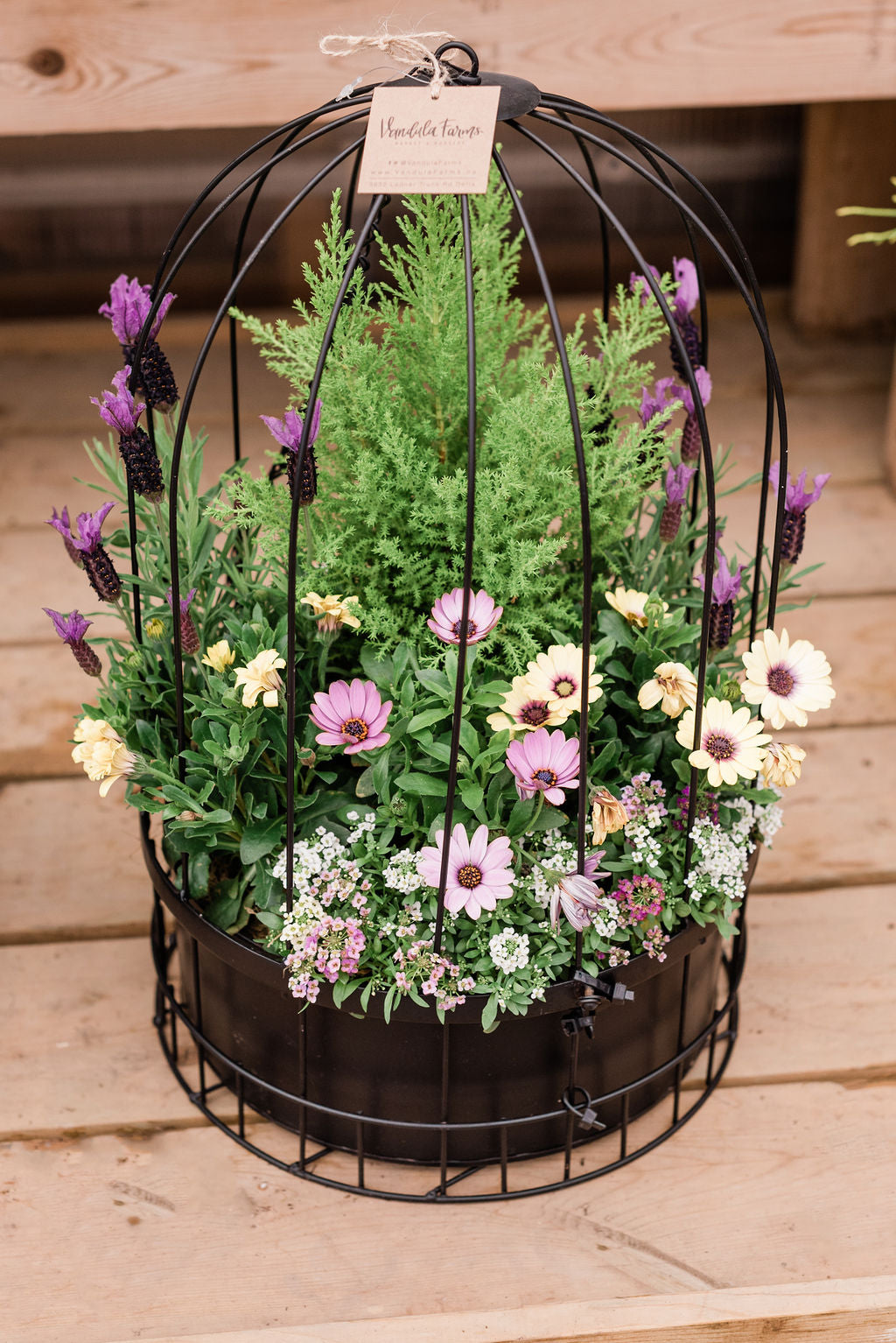 Botanical Designer - Outdoor Containers