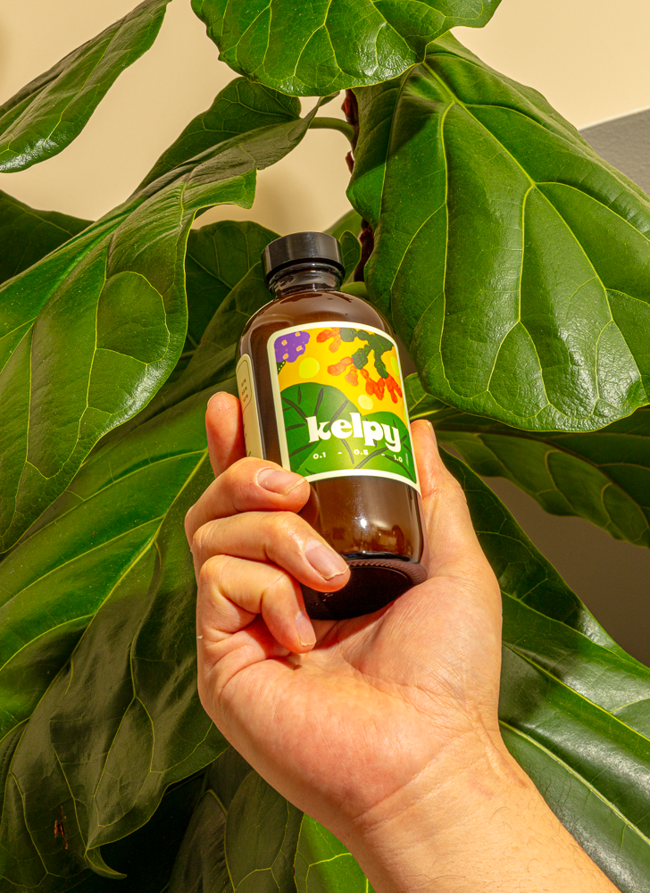 Kelpy All-Natural Plant Food