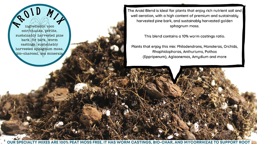 Aroid Blend Potting Mix