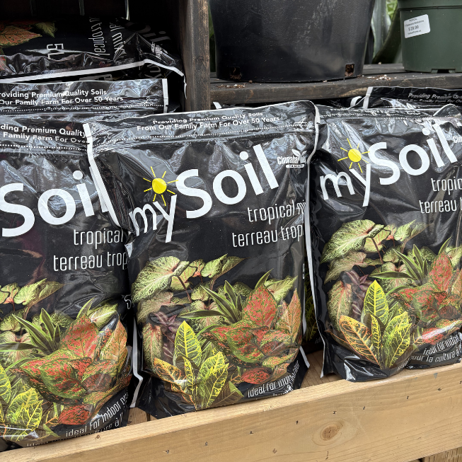 My Soil Tropical Mix