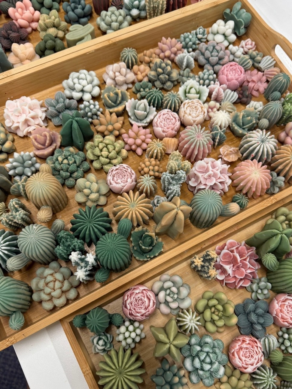 Succulent Candle Making Workshop
