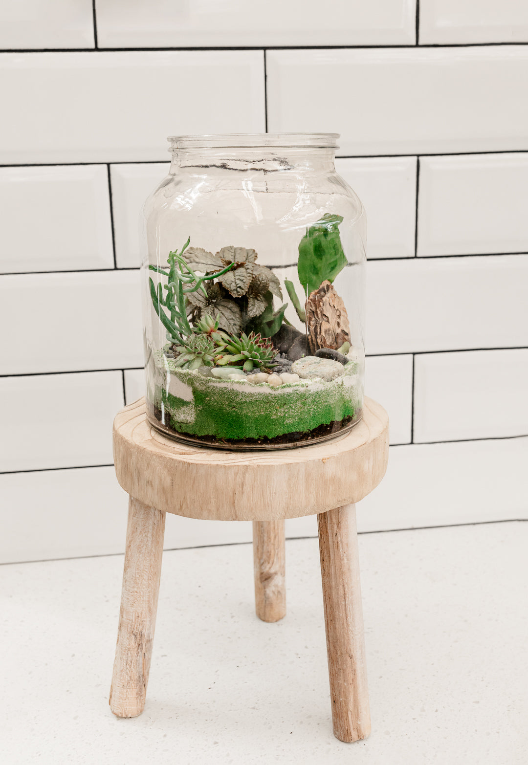 Woodland Terrarium Workshop