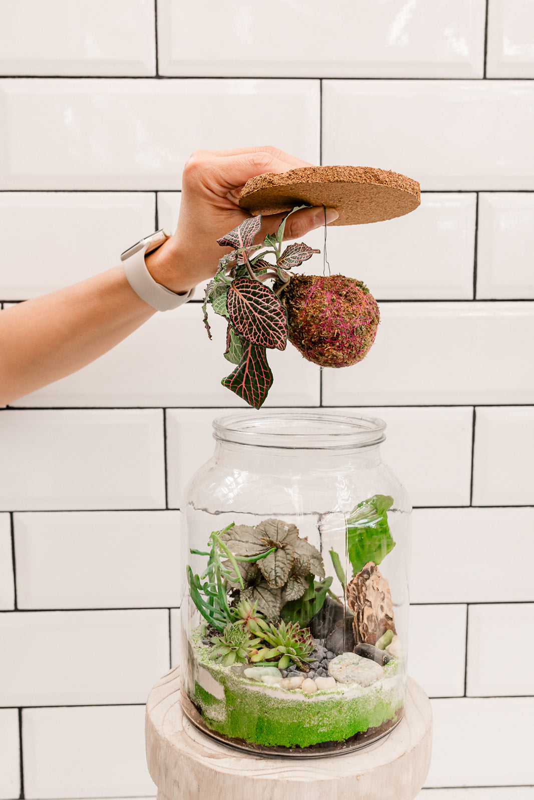 Woodland Terrarium Workshop