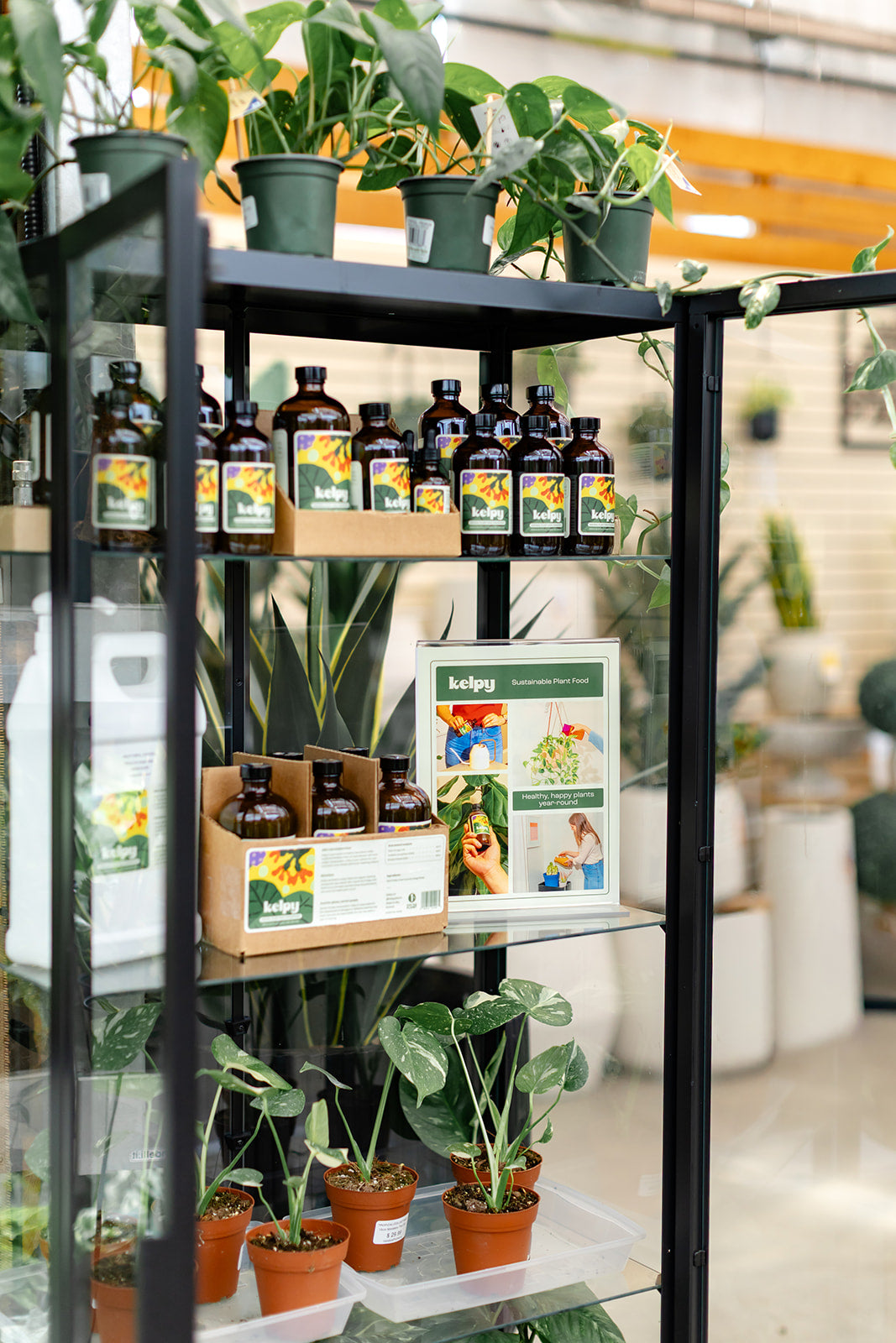 Kelpy All-Natural Plant Food