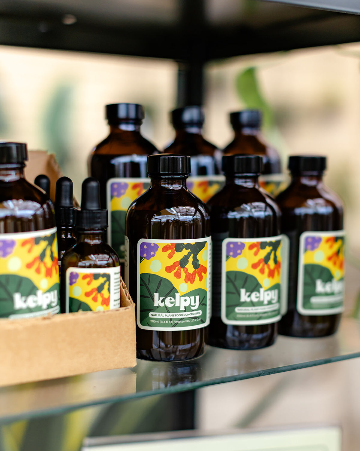 Kelpy All-Natural Plant Food