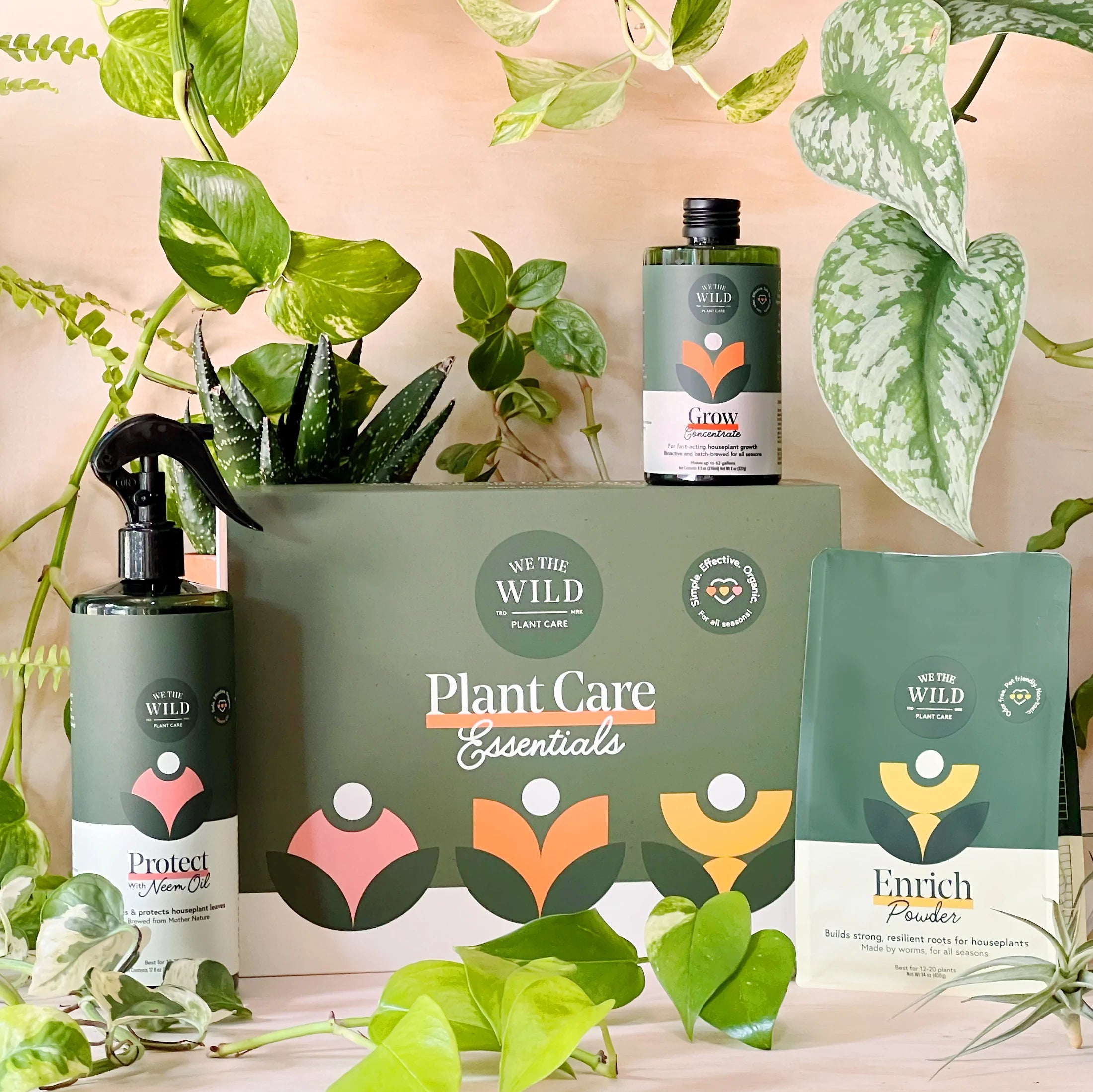 Plant Care Essentials Kit