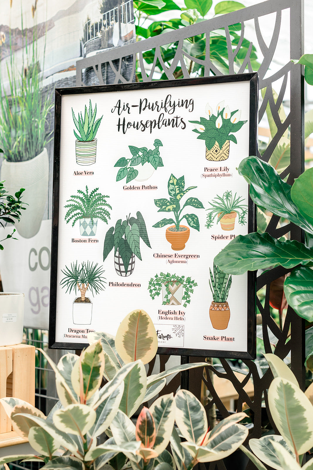 Graphic Design Assistant P/T