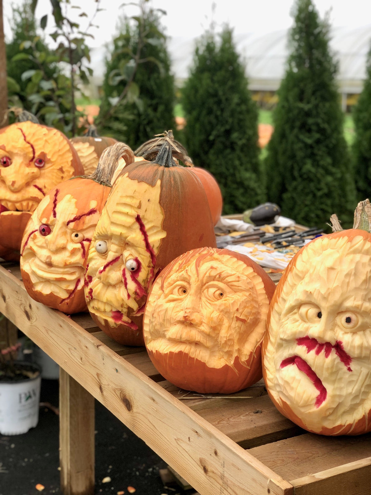 Pumpkin Carving Contest