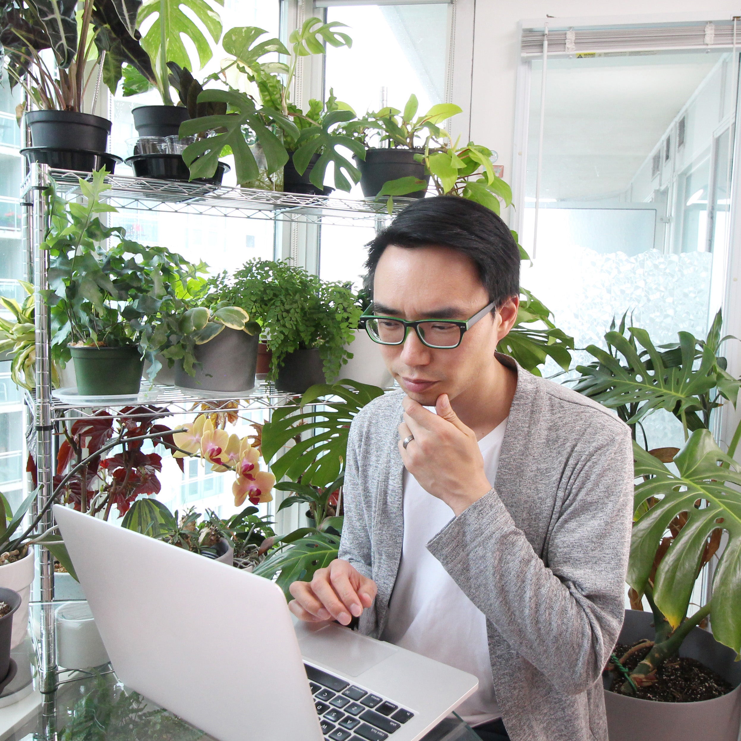 Meet Darryl Cheng @houseplantjournal