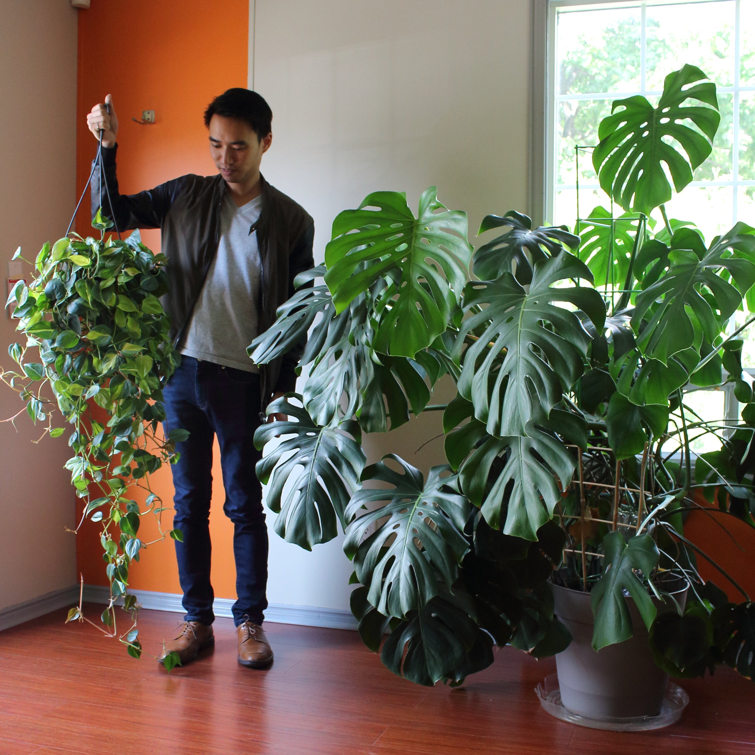 Meet Darryl Cheng @houseplantjournal