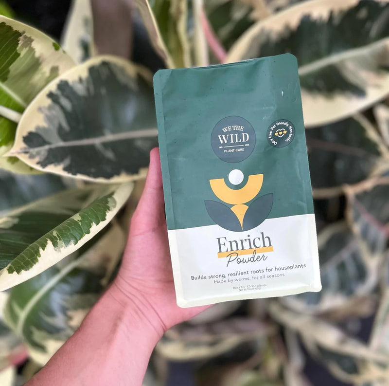 We The Wild Enrich Powder 400g