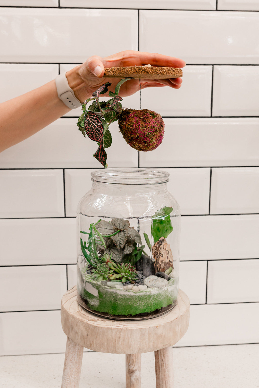 Woodland Terrarium Workshop