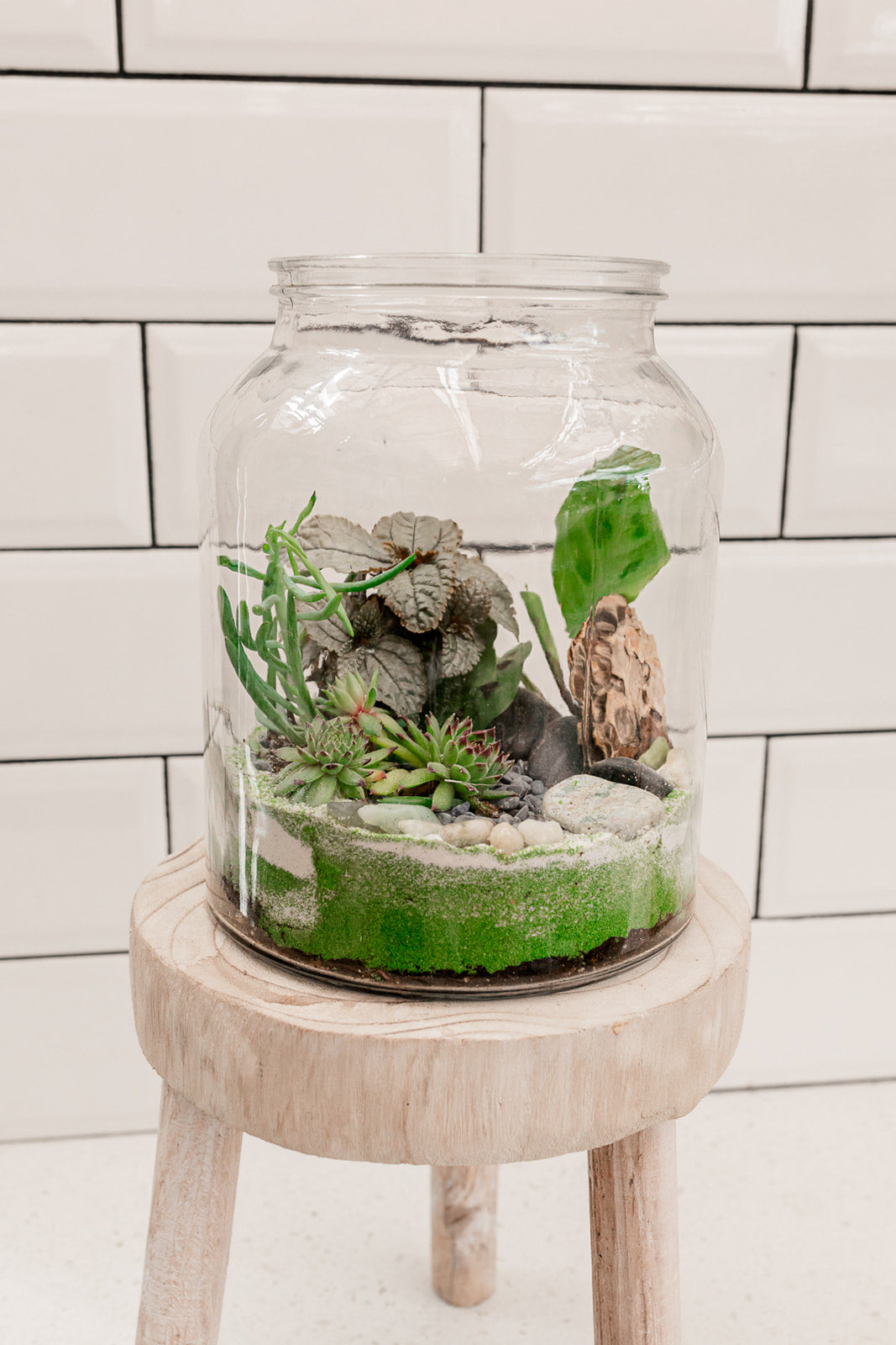 Woodland Terrarium Workshop