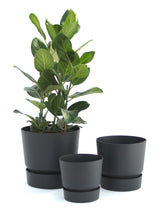 Elho Greenville Round Pot (Black)
