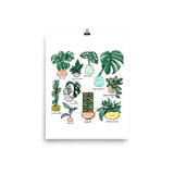 Art Print -Monstera Family