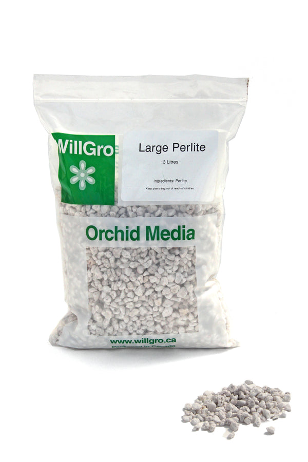 WillGro Large Perlite - 3L