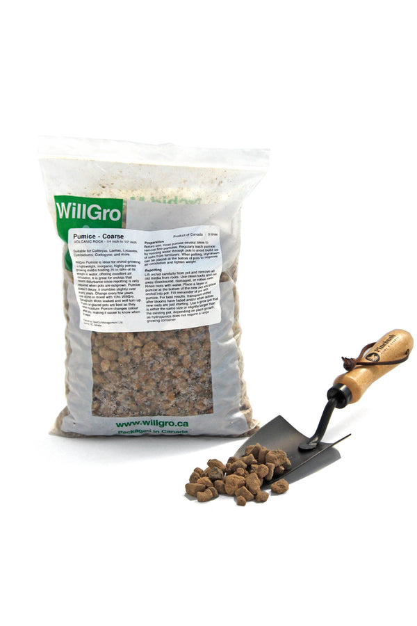 WillGro Pumice Rock Small- 3L