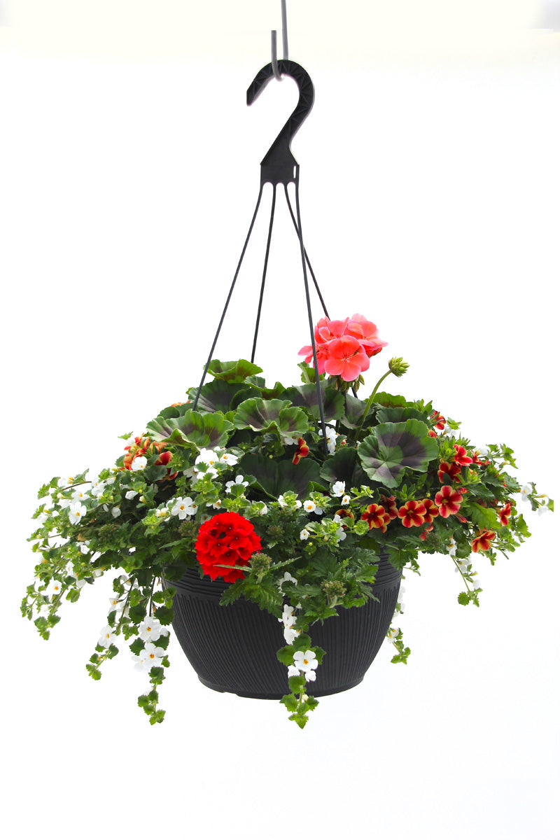 Spring Basket 12"