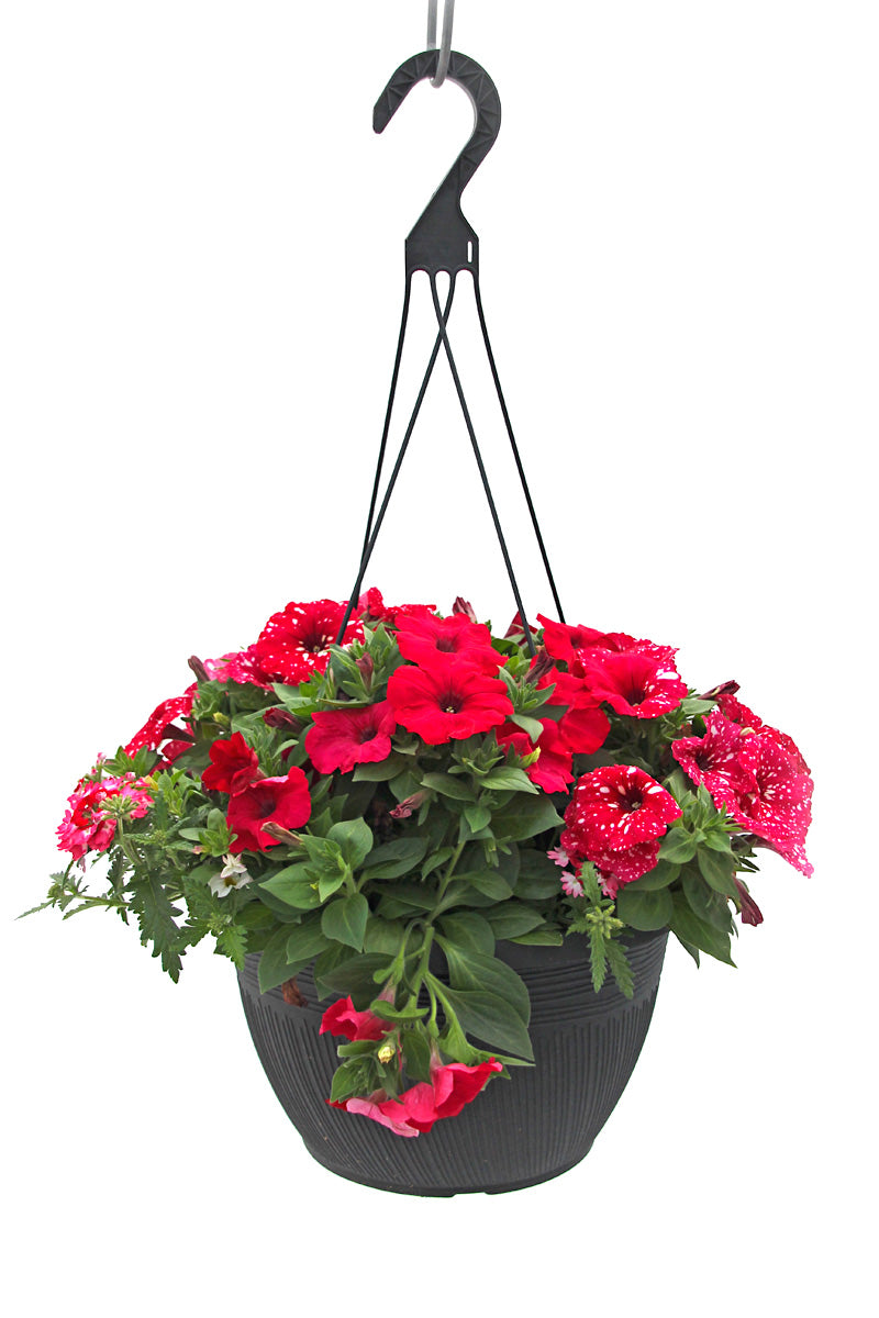 Spring Basket 12"