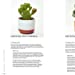 Prick: Cacti and Succulents: Choosing, Styling, Caring (Hardcover)
